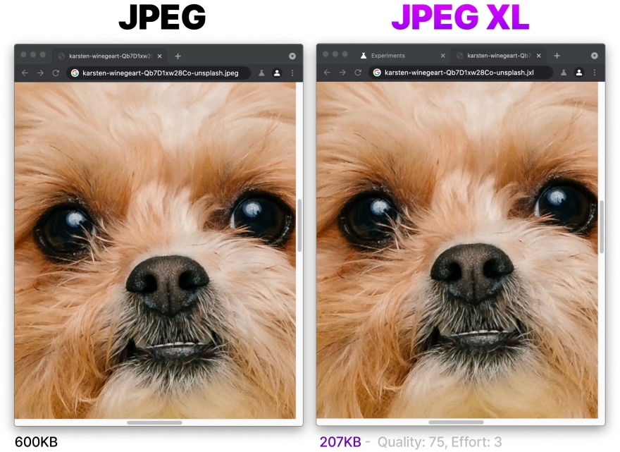 JPEG XL - Định dạng hình ảnh mới cho người dùng iPhone